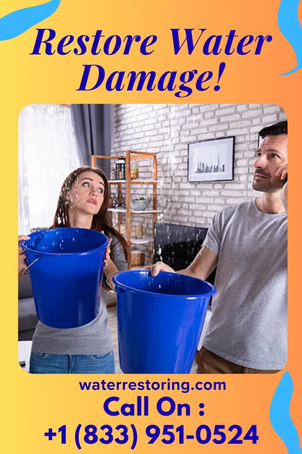 water restoration Platinum Water Solutions Company Oakton